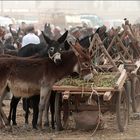 sunday - market