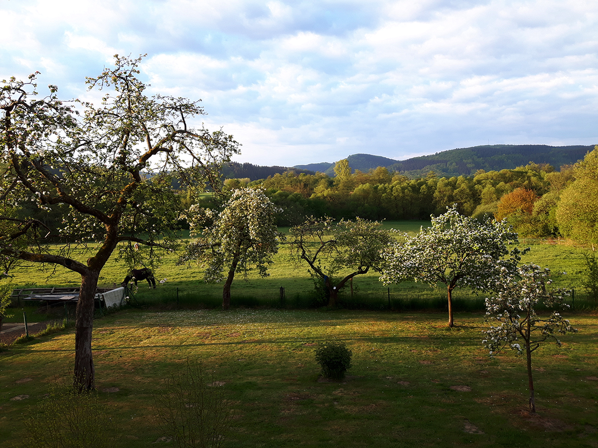 ...Sunday morning 07:10, view from my bedroom...