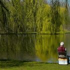 Sunday morning at the pond