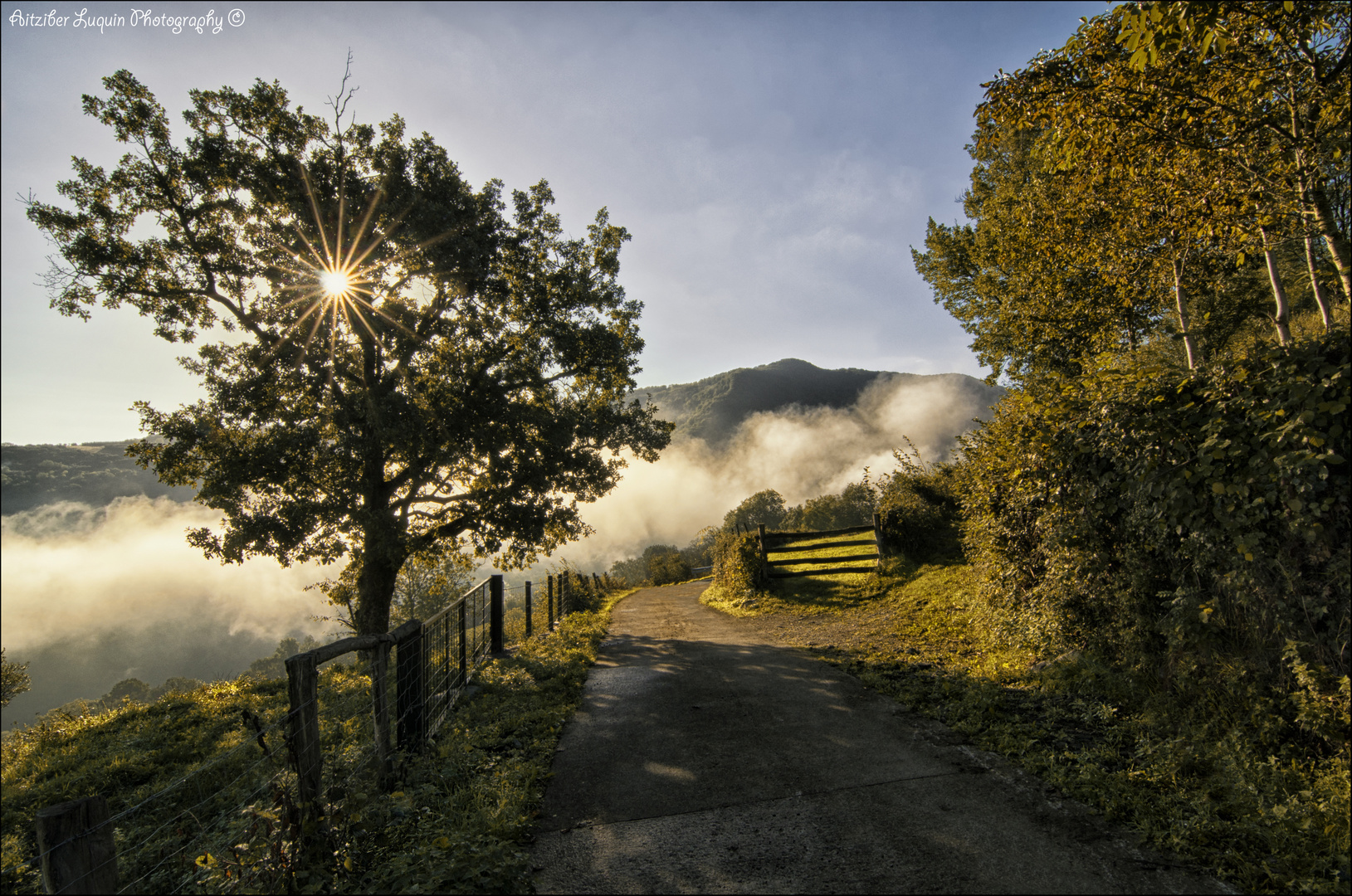 Sunday morning fog....