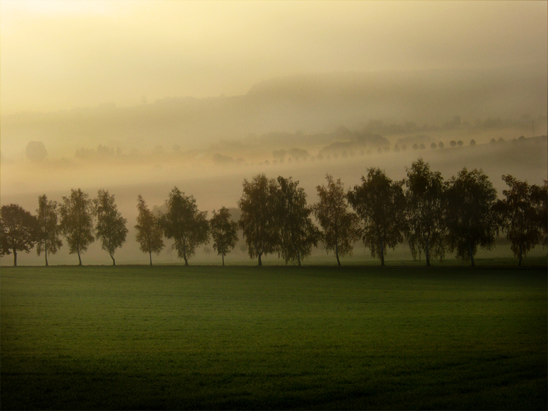 sunday morning in the country