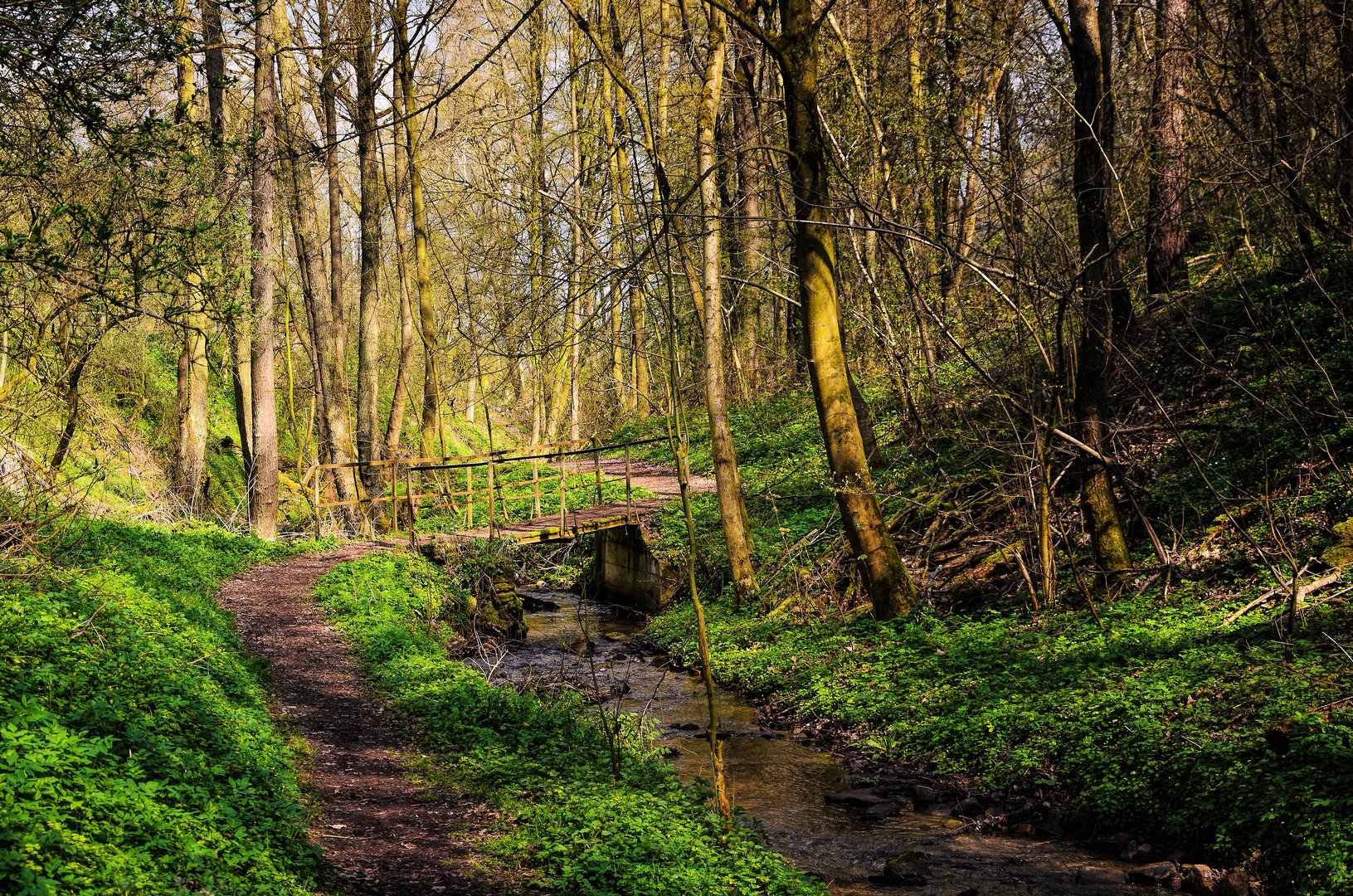 ...Sunderbach...