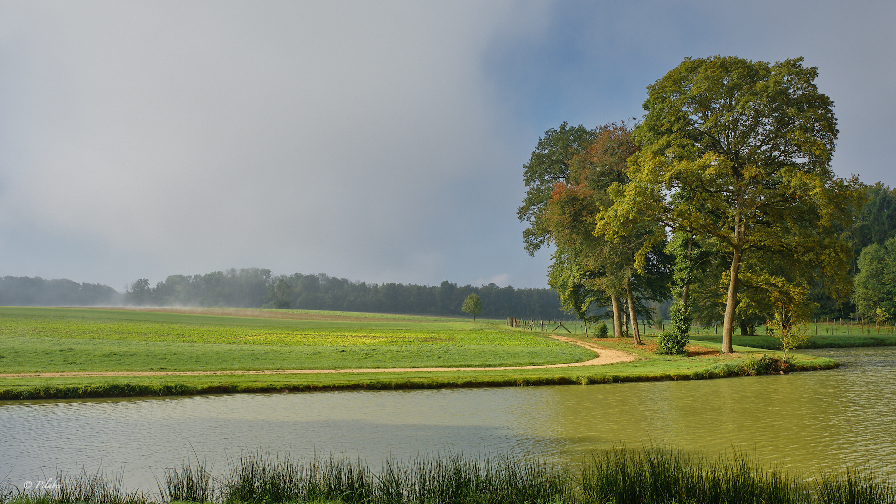 Sundgau mon amour (2)