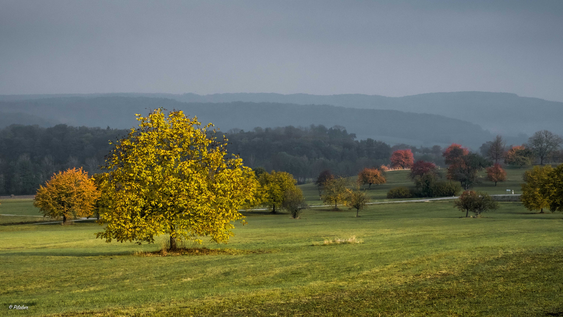 Sundgau mon amour.