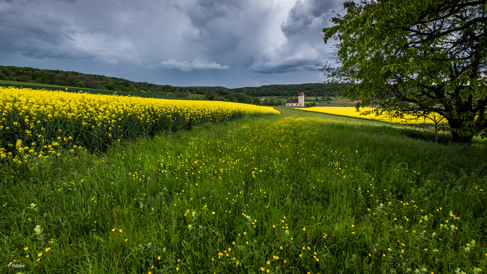 Sundgau pur