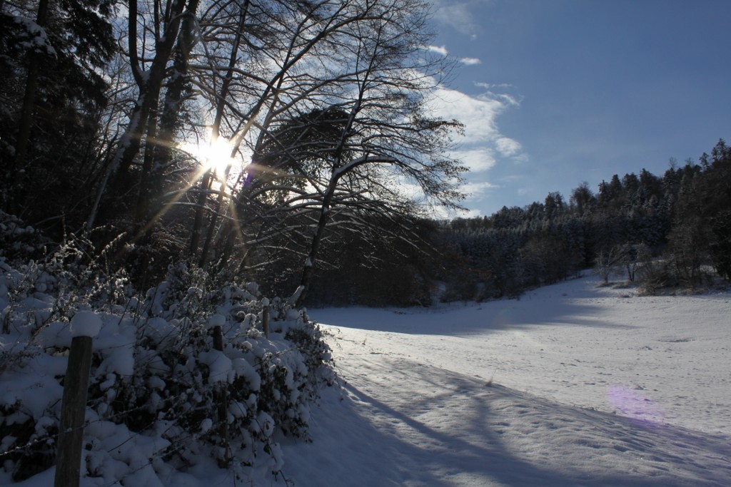 Sundgau sous la neige (3)