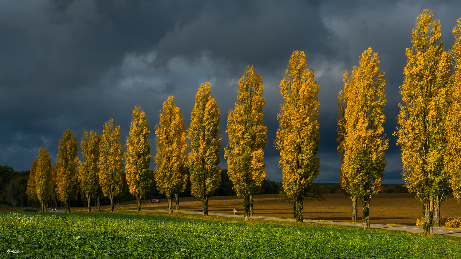 Sundgauer Herbst