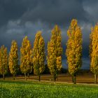 Sundgauer Herbst