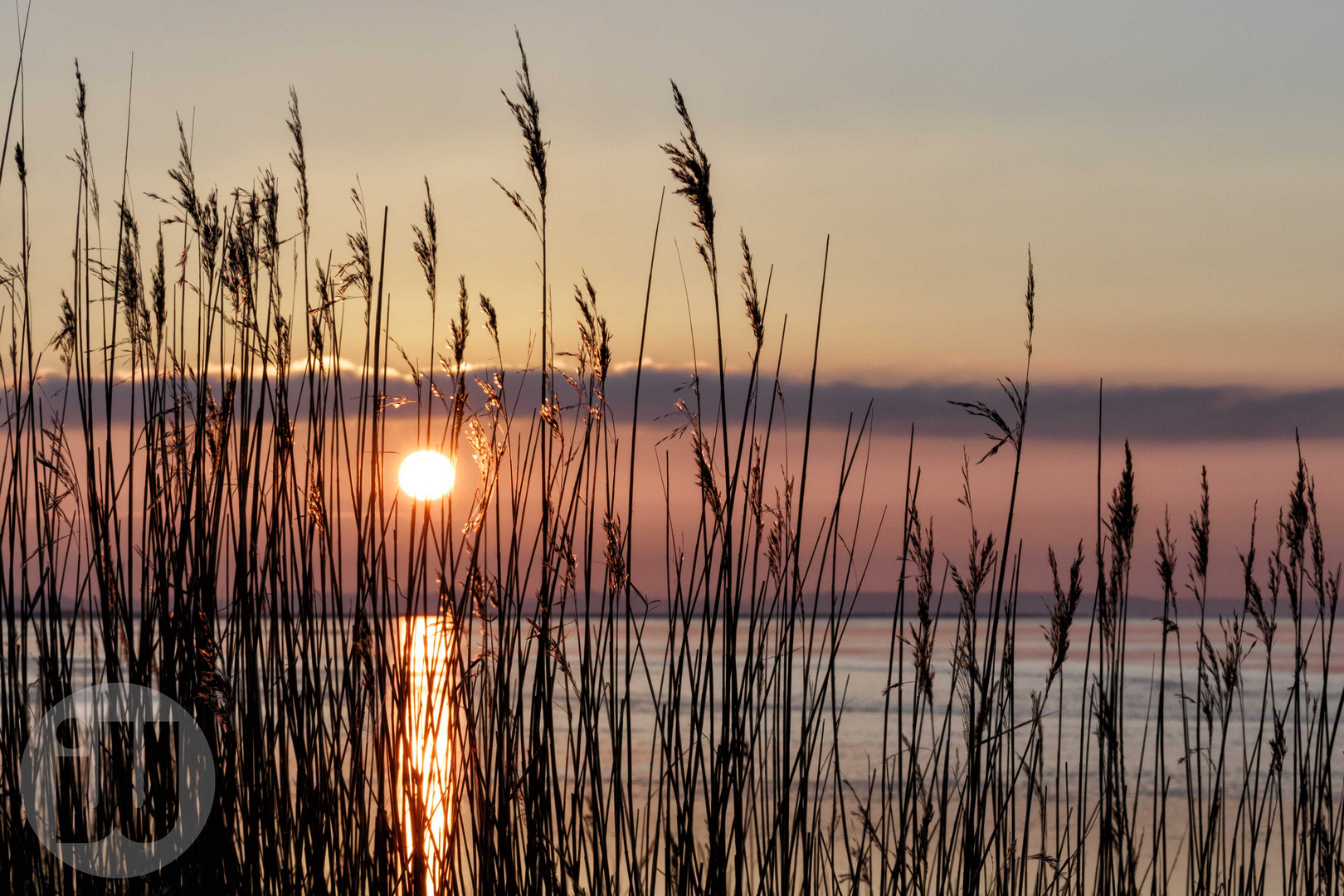 Sundische Wiesen bei Zingst (Ostsee)