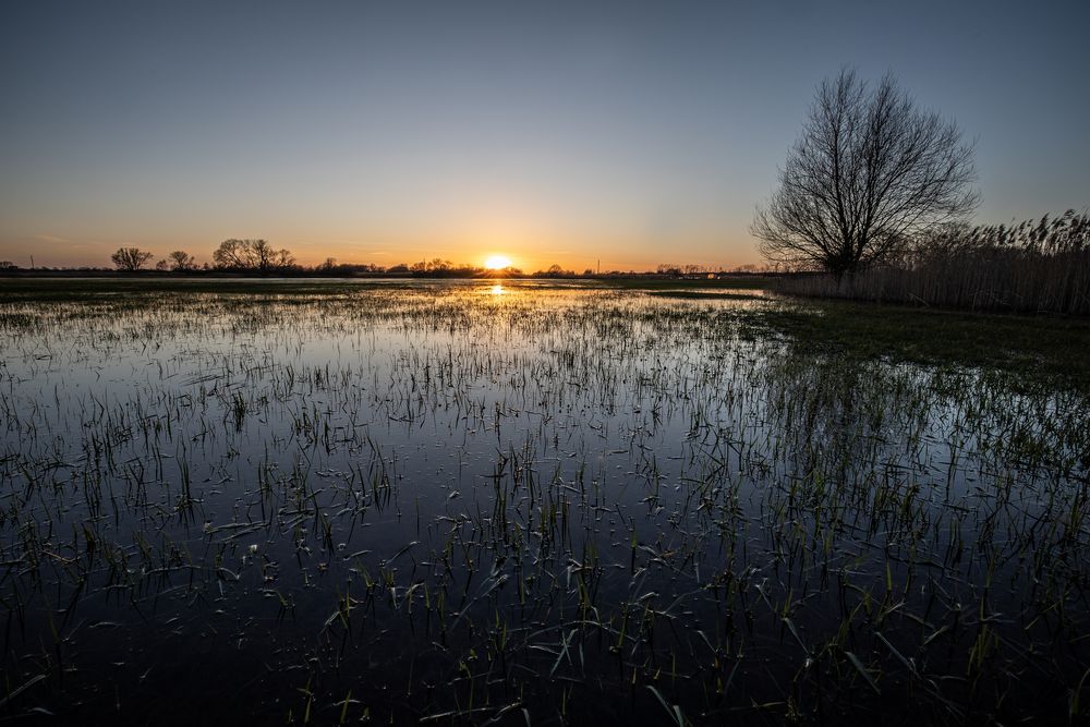 Sundown   15mm   f14 