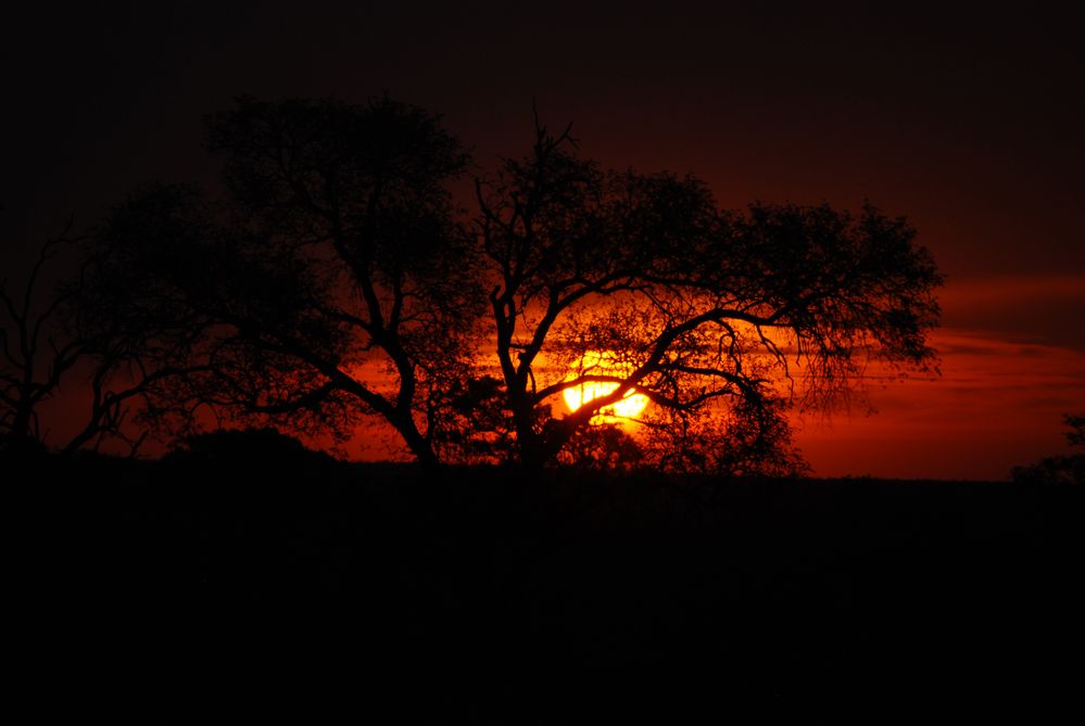 Sundown von Hans - Jürgen Bellhäuser 