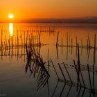 sundown ~ albufera park ~~~~~