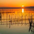 sundown ~  albufera park  ~