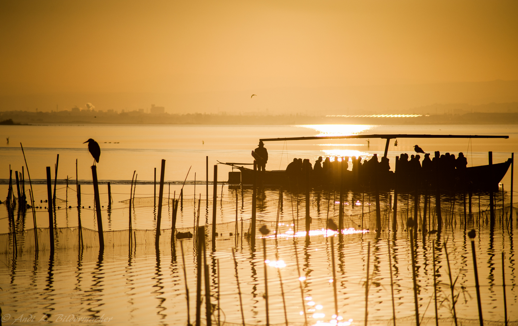 sundown ~ albufera park ~~~