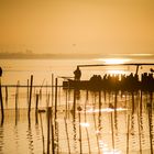 sundown ~ albufera park ~~~