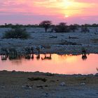 Sundown am Waterhole in Okaukuejo