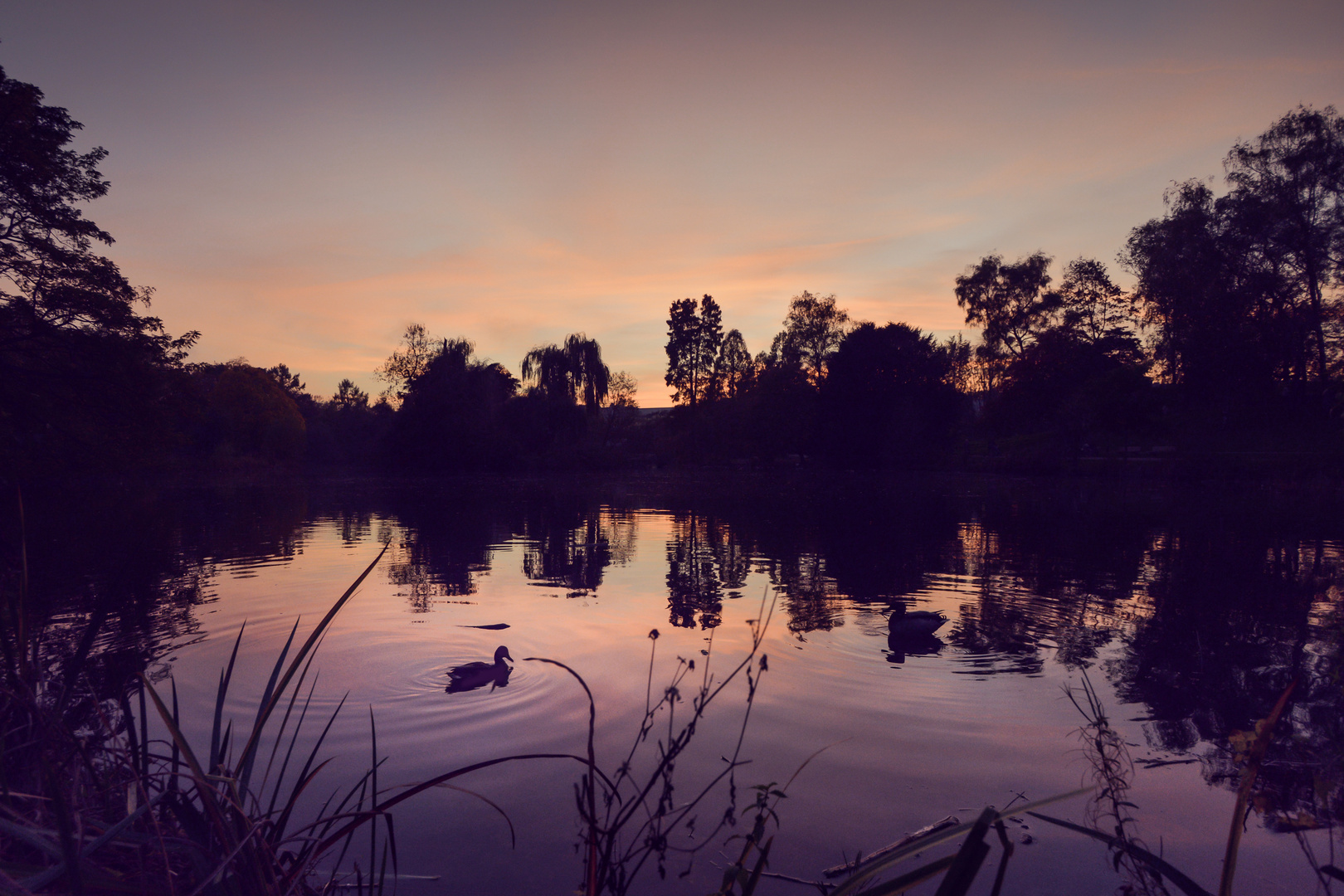 Sundown at a Lake