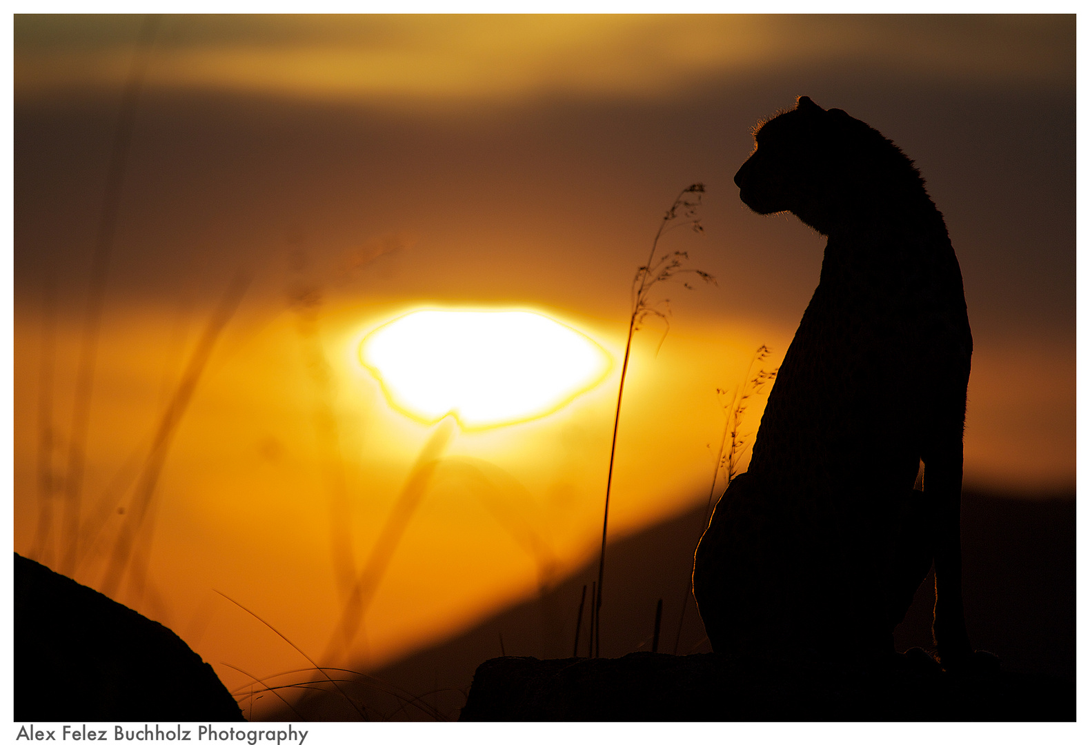 Sundown at Cheetah