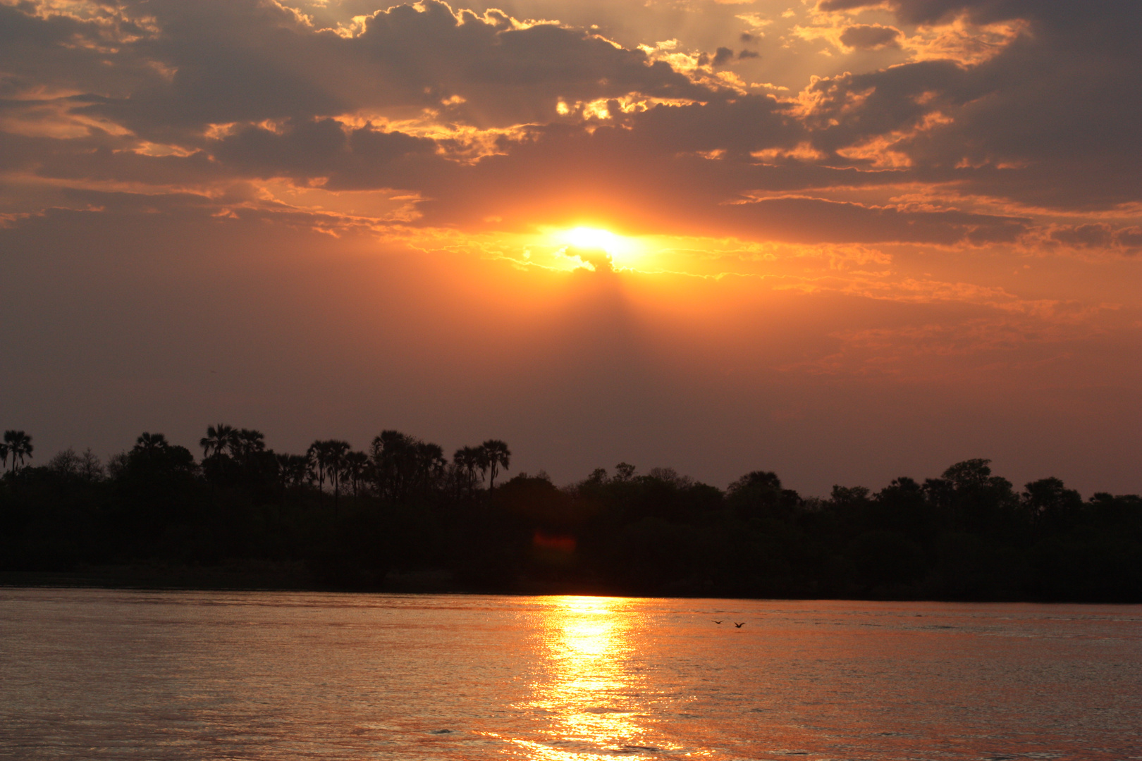 Sundown at Sambesi River