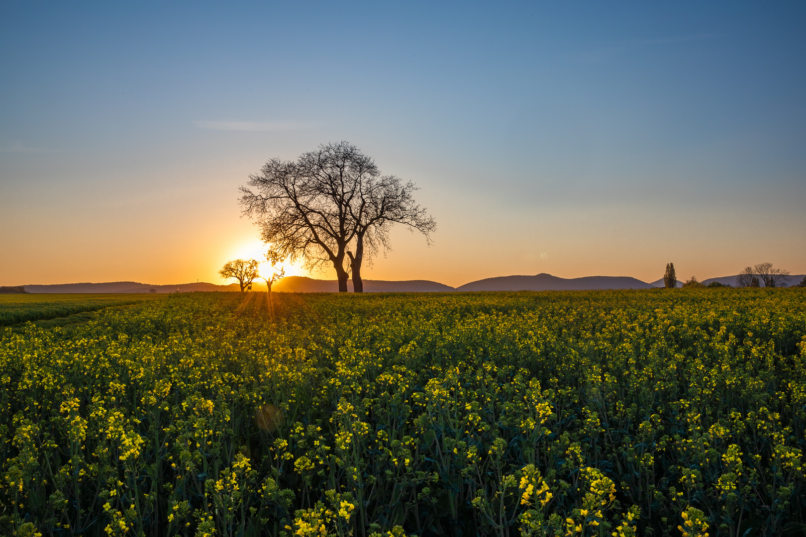 Sundown at the rapsfeld