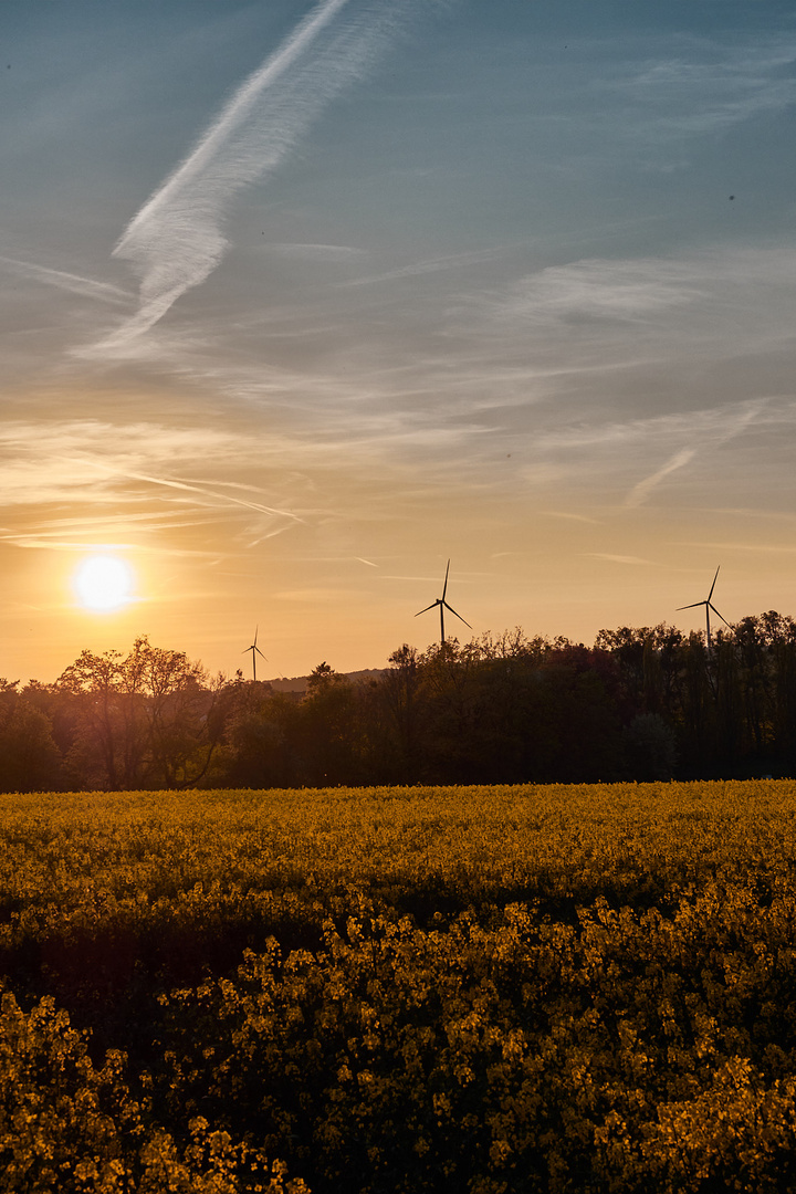 Sundown Bad Arolsen