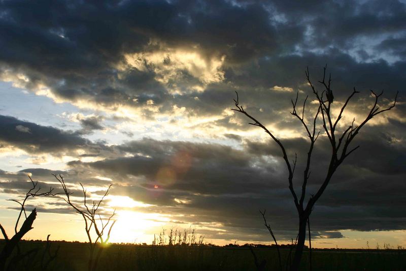 sundown chobe botswana