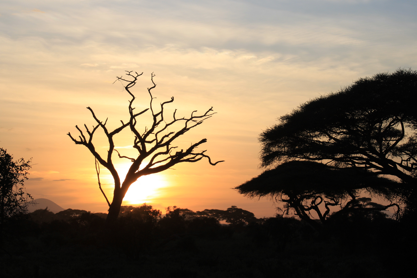 Sundown East Africa