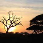 Sundown East Africa