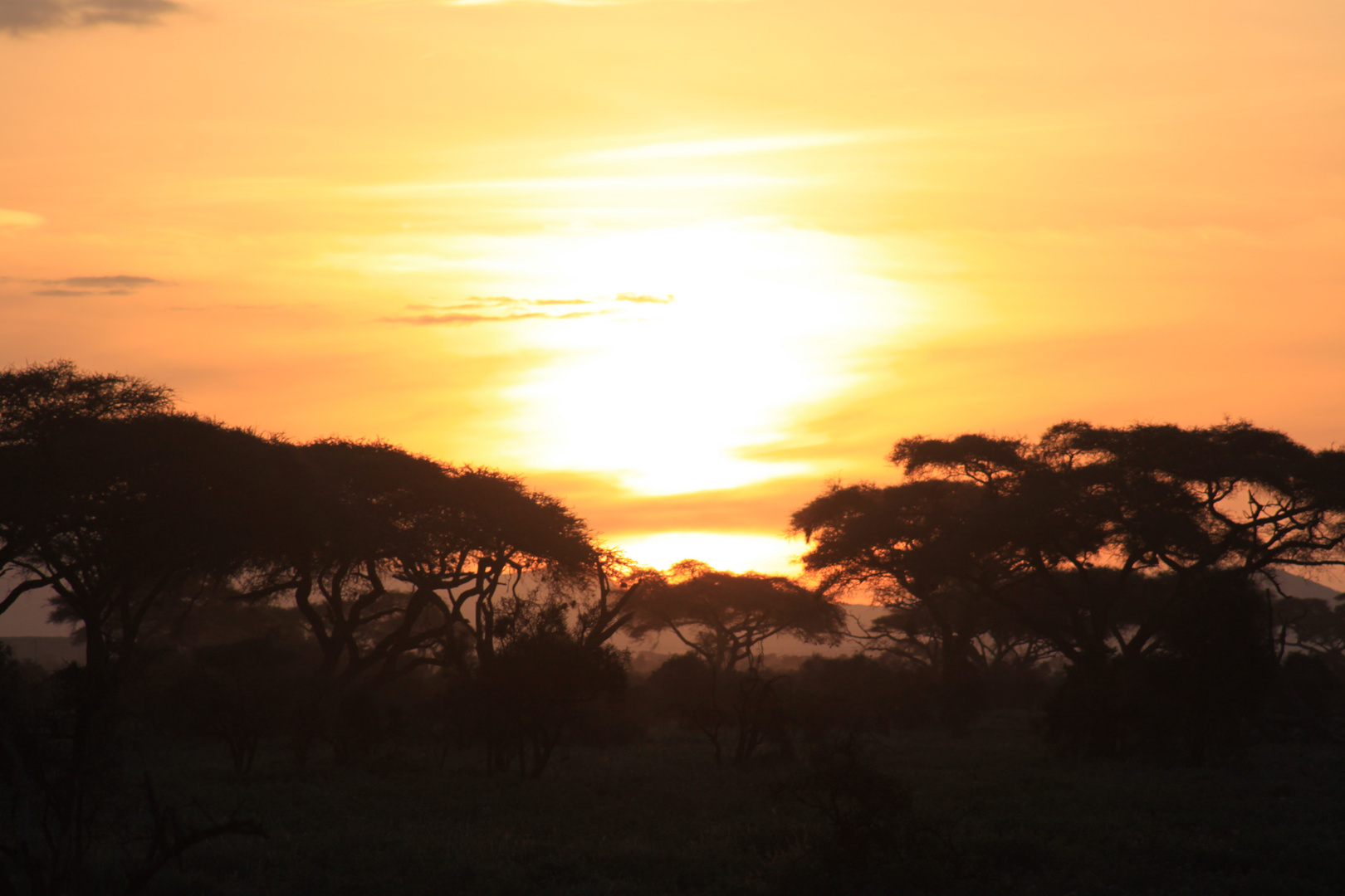 Sundown East Africa