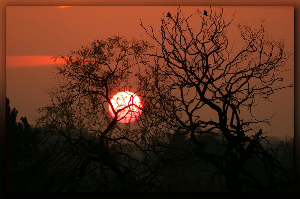 sundown von Hans-Peter Boche 