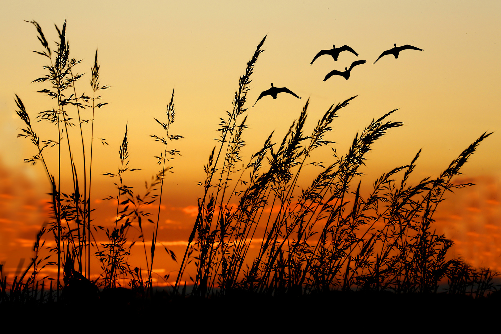 Sundown Foto & Bild sonnenuntergang, abend, natur Bilder auf