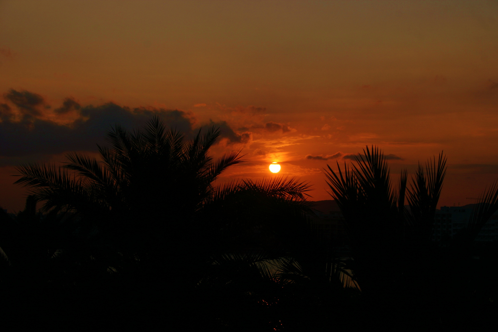 Sundown Ibiza