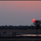 Sundown im Khama Rhino Sanctuary