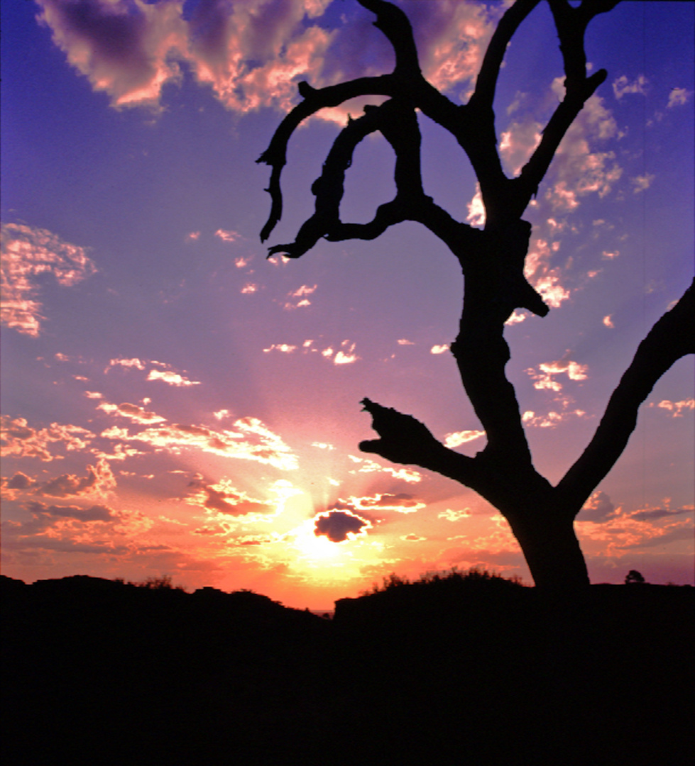 Sundown im Outback Australien