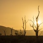 Sundown im Tal - sussusvlei