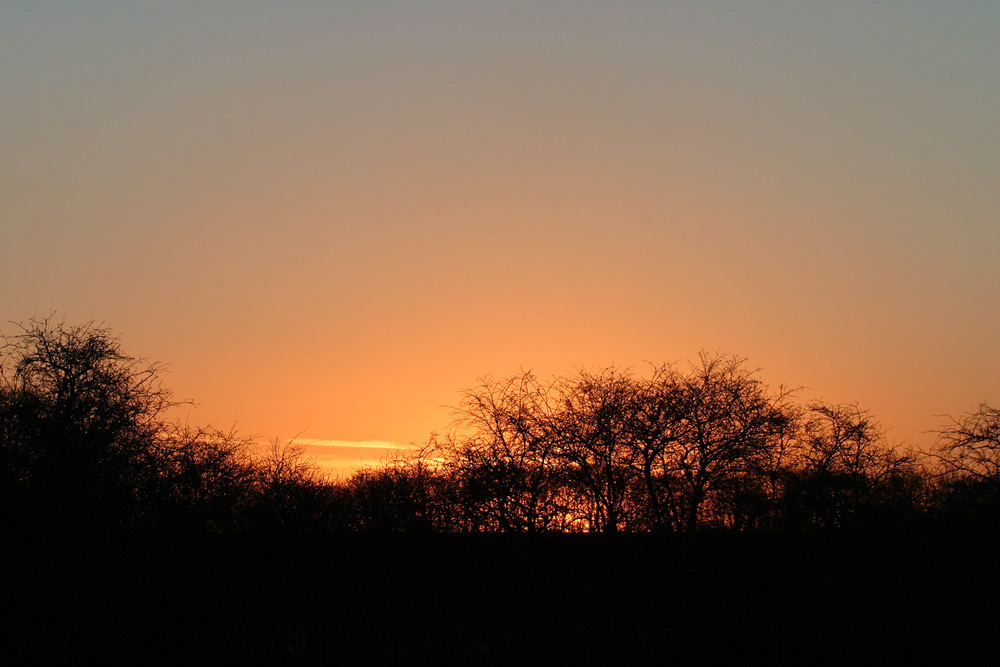 Sundown in der Buschsavanne Africa´s .....