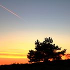 Sundown in der Mehlinger Heide 