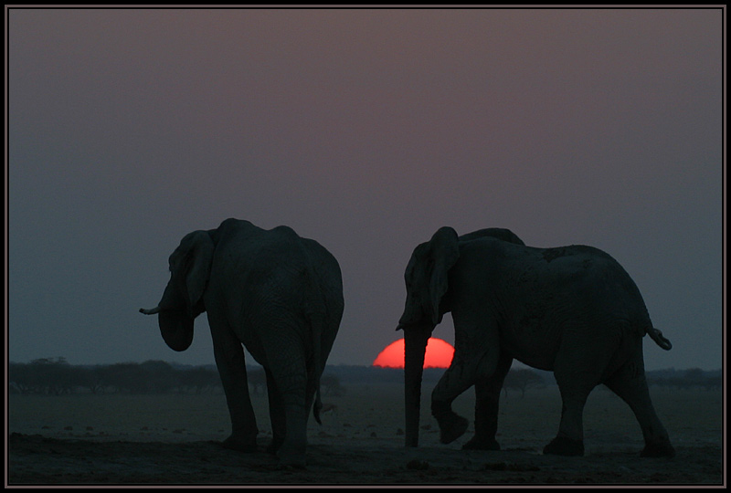 Sundown in der Nxai Pan