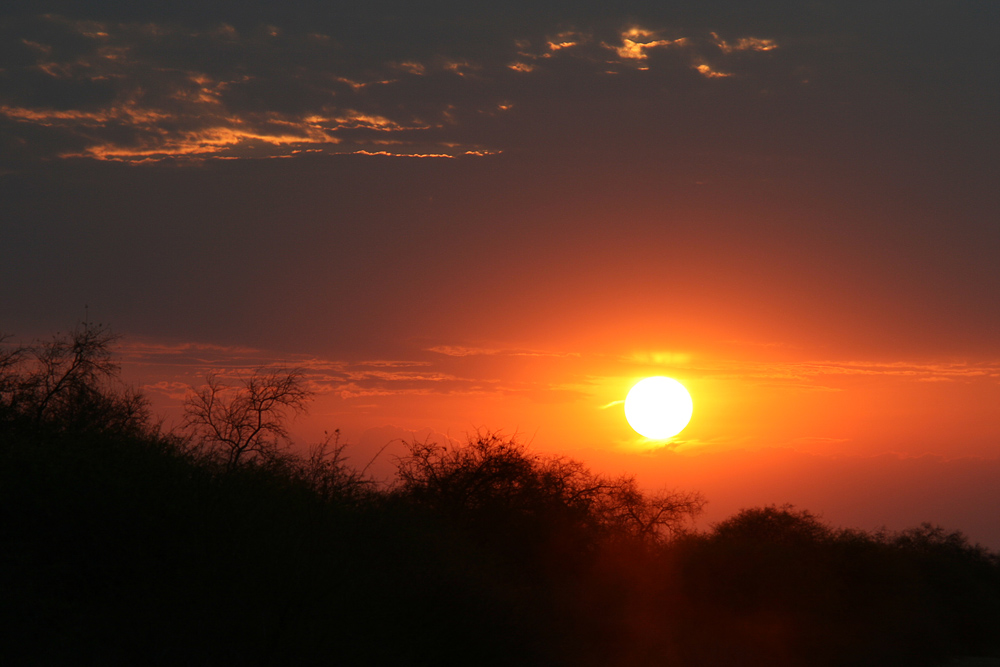 Sundown in Etosha