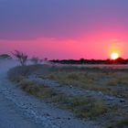 Sundown in Etosha