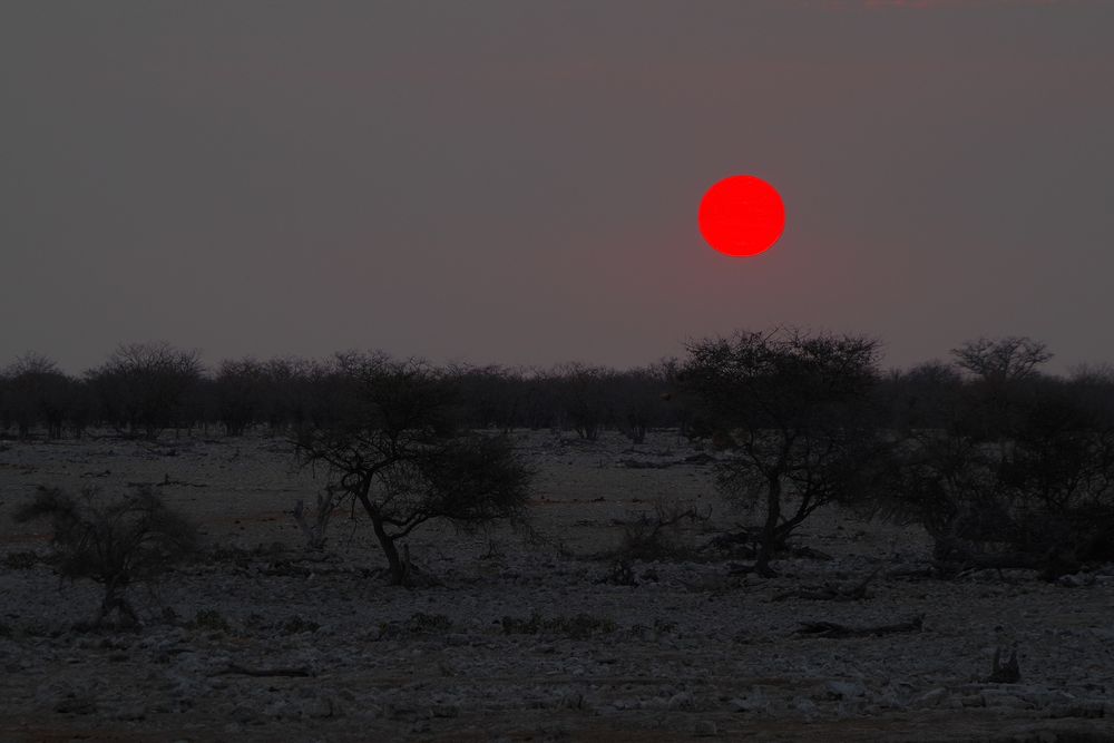 sundown in Okaukuejo