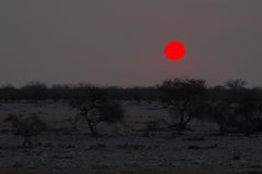 sundown in Okaukuejo