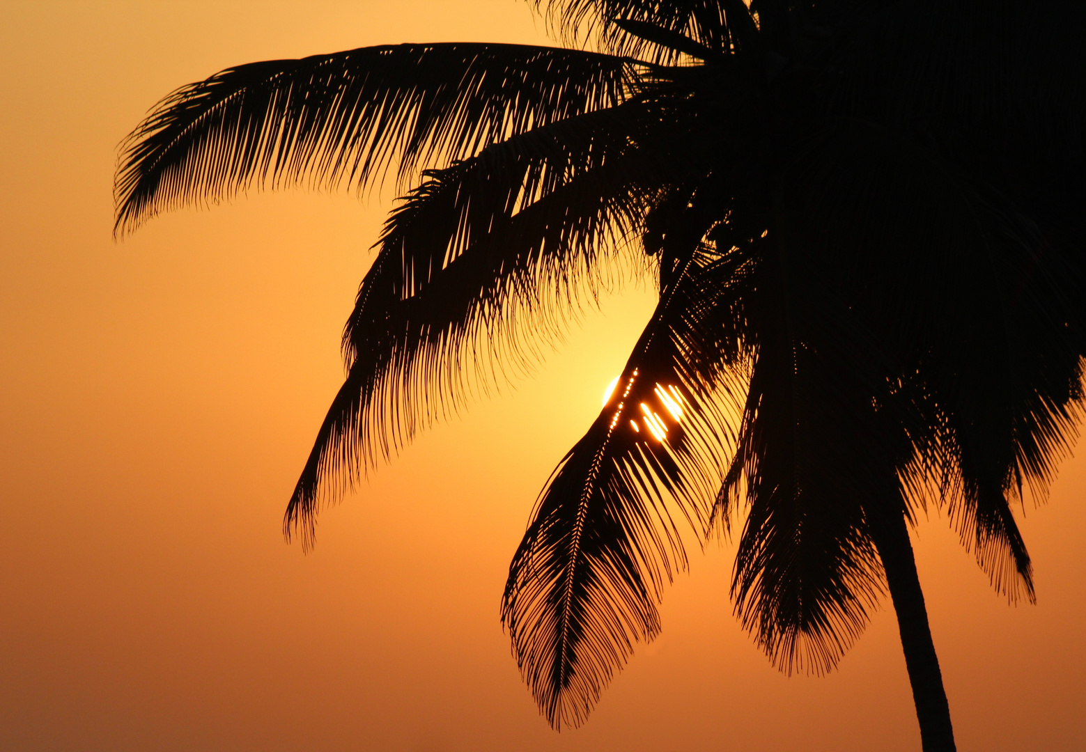 Sundown in Salalah ( Hotel Crowne Plaza )