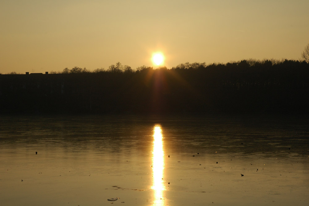 Sundown in Schwafheim