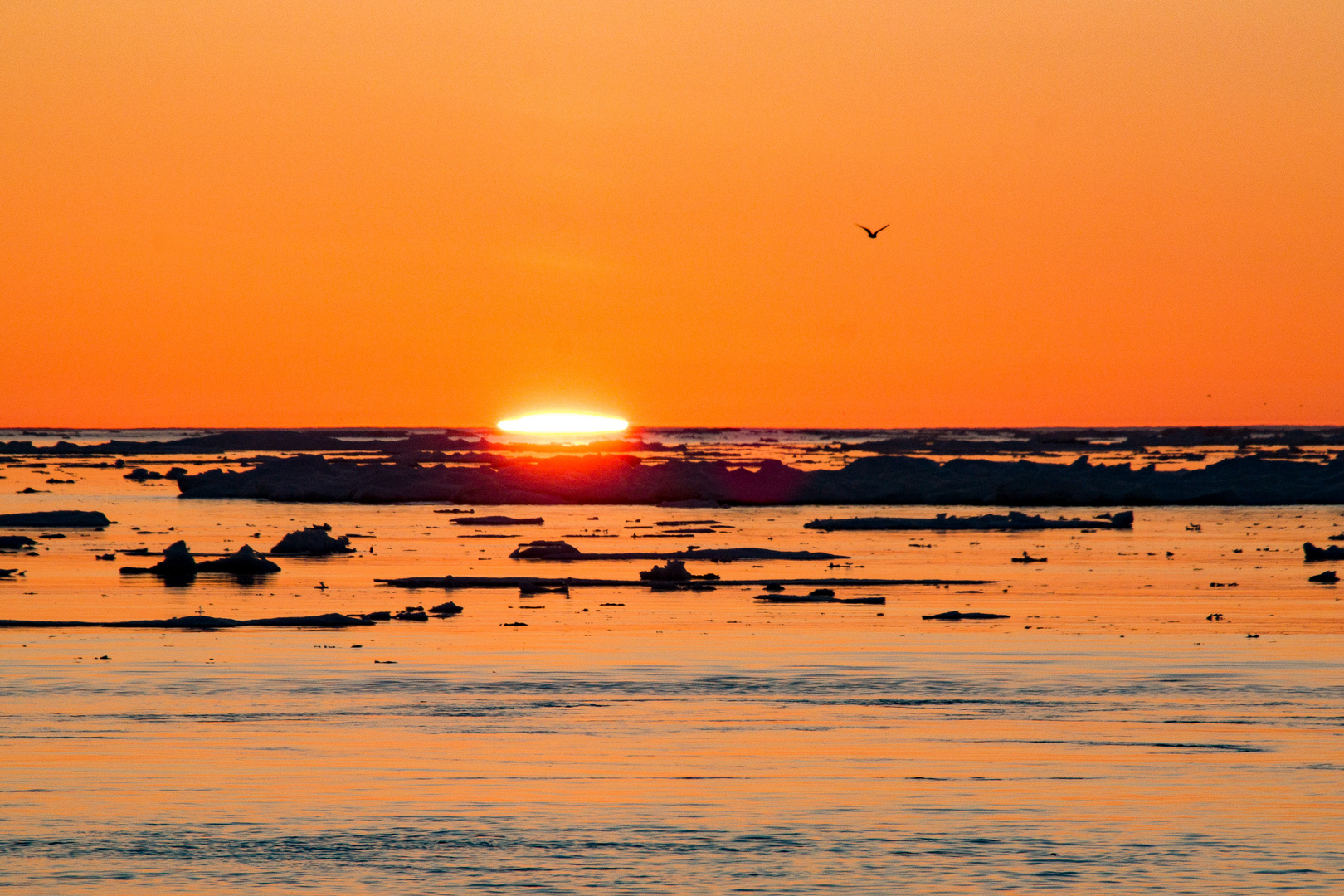 Sundown in the arctic