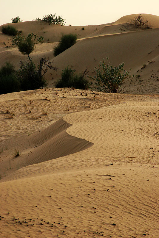 Sundown in the desert