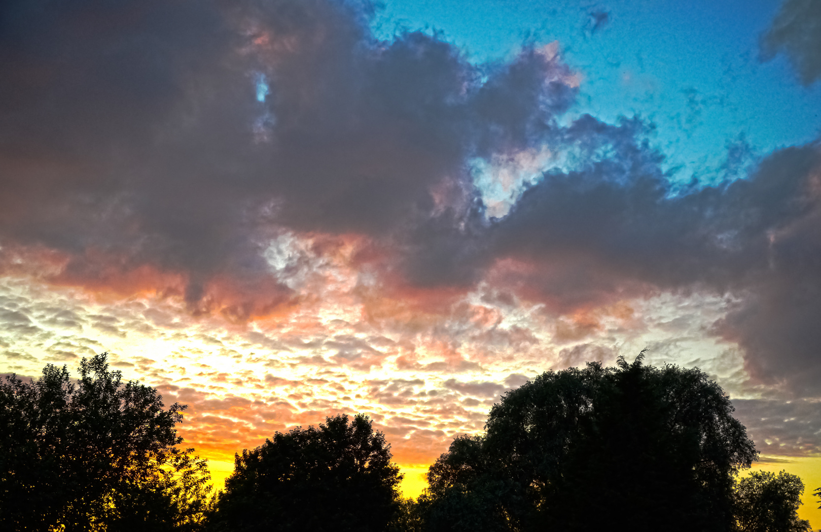 Sundown in the garden...