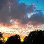 Sundown in the garden...