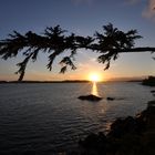 Sundown in Tofino