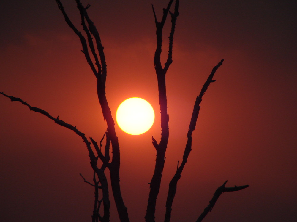 Sundown Kariba